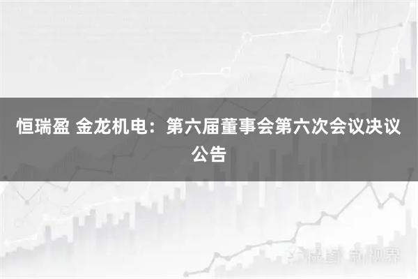 恒瑞盈 金龙机电：第六届董事会第六次会议决议公告