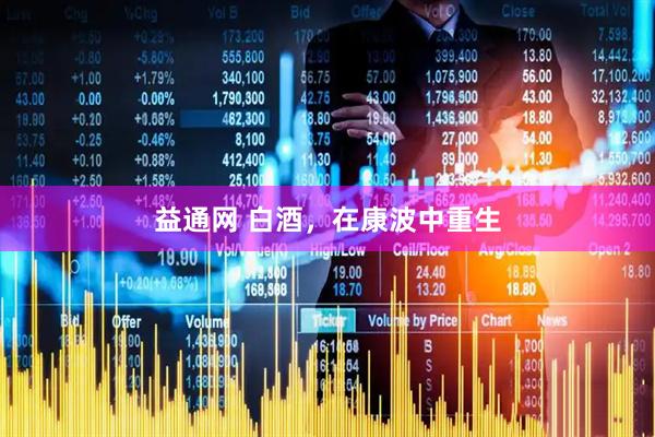 益通网 白酒，在康波中重生