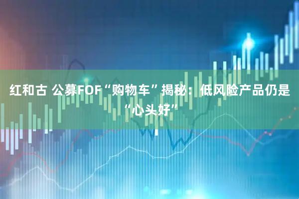 红和古 公募FOF“购物车”揭秘：低风险产品仍是“心头好”